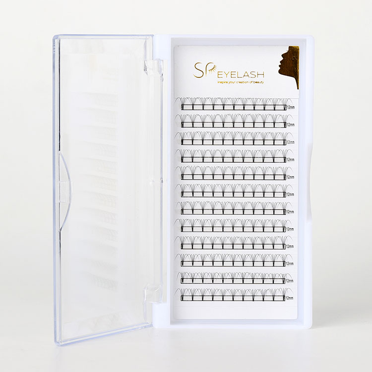 Miks kujundavad premade fännripsmed professionaalsete ripsmepikenduste tulevikku?