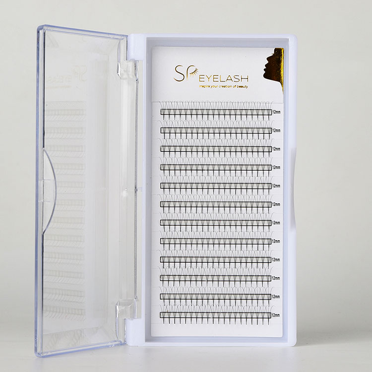 Kuidas valida Promade Pointy lehvikud kiiremaks, täidlasemaks ja kauakestvamaks ripsmepikenduseks?